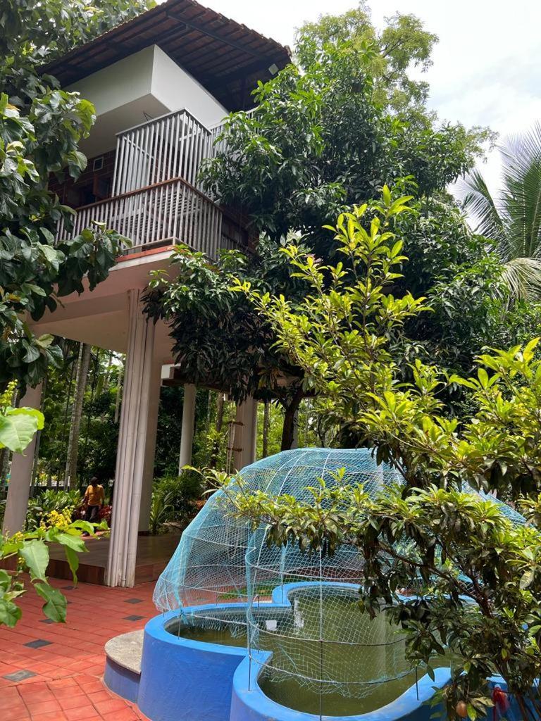 Serenity Villa And Treehouse Palakkad Exterior foto